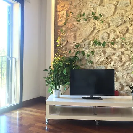 Apartament Pont De Pedret