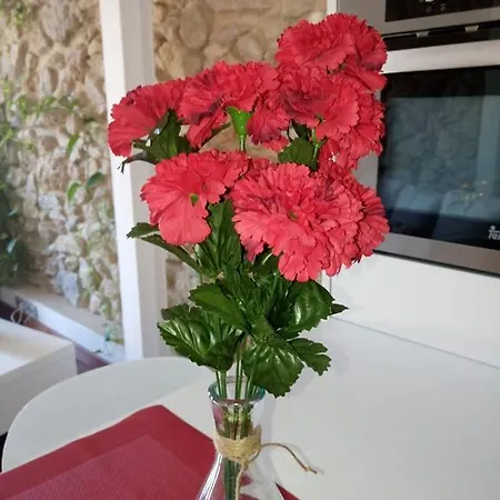 Pont De Pedret Apartament